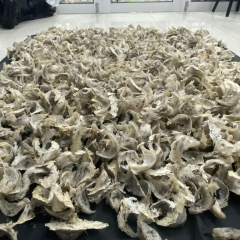 Yến thô loại 2 SURI 50g