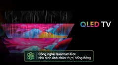 Google Tivi QLED Aqua 4K 43 inch AQT43S80EUX