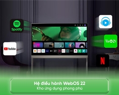 Smart Tivi OLED LG 4K 55 Inch 55LX1TPSA