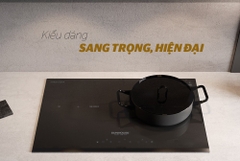 BẾP ĐÔI ĐIỆN TỪ SUNHOUSE SHB-DI01
