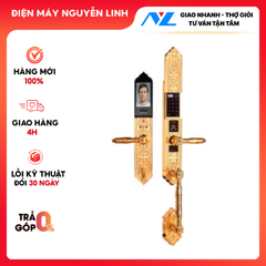 Khóa điện tử, vân tay dùng cho đại sảnh, biệt thự Demax EL986 Gold