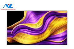 Smart Tivi LG Evo Oled 4K 65 inch 2025 (65G5PSA)