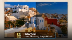 Google Tivi TCL 4K 43 inch 43P79B