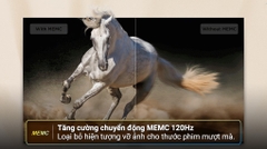 Google Tivi TCL 4K 43 inch 43P79B