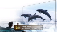 Google Tivi TCL 4K 43 inch 43P79B