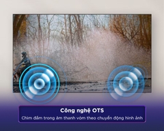 Smart Tivi QLED Samsung 4K 55 Inch QA55Q60DA