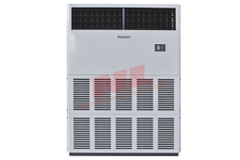 Điều hòa tủ đứng Reetech RS120‑PA-A / RC120‑PAS-A