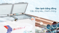 Tủ đông Sanaky Inverter VH-4099A4K cánh kính cường lực màu xám