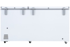 Tủ đông Sanaky VH-6699W1 | Tủ đông 2 chế độ