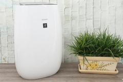Máy lọc không khí Sharp FP-J40E-W 23W
