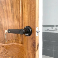 Khóa điện tử Demax SL109 BL App Bluetooth