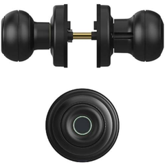 Khóa điện tử Demax SL106 BL