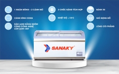 Tủ đông siêu thị Sanaky VH-888K