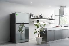 Tủ lạnh Toshiba Inverter 608 lít GR-AG66VA X