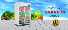 Tủ đông inox mặt kính Sanaky VH-1099K