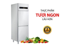 Tủ đông inox công nghiệp Sanaky VH-6099HP