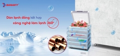 Tủ cấp đông Sanaky VH-1599HY