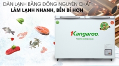 Tủ đông Kangaroo 212lít KG 328NC2