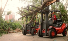 Xe nâng dầu Linde H 3 tấn