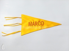 Cờ Thiếu Nhi Thánh Thể