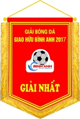 Cờ giải bóng đá giao hữu Bình Anh