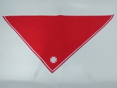 May Khăn thiếu nhi Thánh Thể