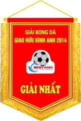 Cờ bóng đá giao hữu Bình Anh
