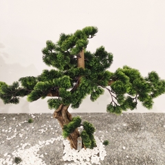 Tùng giả trang trí sân vườn Nhật cao 60cm