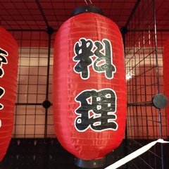 Lồng đèn đỏ in chữ 23x45cm