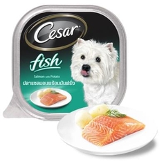 Cesar 100g Cá hồi & Khoai tây | Fish Salmon & Potato