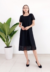 Áo Đầm Ren Đen AD 0820-01