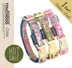 Touchdog small collar & lead