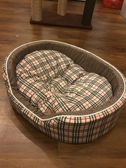 Nệm BK Cute Middle