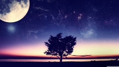 longdv_test_mail_template 1