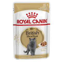 Royal Canin British shorthair adult in gravy 85g
