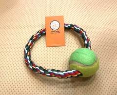 Dog Toy Day Thung-Ball