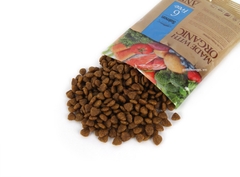 ANF Dog 2kg Organic 6 Free Salmon | Hạt khô hữu cơ CÁ HỒI