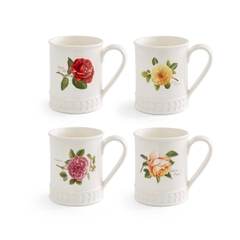 PM Botanic Roses Cốc cao hoa hồng thưởng thức cà phê buổi sáng, trà chiều thư giãn 340ml sản xuất tại Vương quốc Anh BR48773M