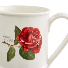 PM Botanic Roses Cốc cao hoa hồng thưởng thức cà phê buổi sáng, trà chiều thư giãn 340ml sản xuất tại Vương quốc Anh BR48773M