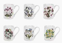 PM Botanic Garden Cốc cao 10oz  280ml họa tiết vườn hoa sản xuất tại Vương Quốc Anh BG48600