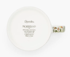 PM Morris & Co Cốc cao Daffodil 12oz MCOO5583-XT