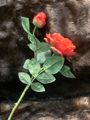 Hoa hồng hoa trang trí màu cam 7223C