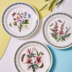PM BOTANIC GARDEN Đĩa 10inch 25cm thương hiệu Portmeirion sản xuất tại Anh Quốc BG05052