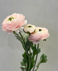 FLOWER Hoa trà mao lương Nhật màu hồng phấn 6870