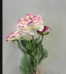 FLOWER Hoa trà mao lương nhật màu trắng viền hồng 6871