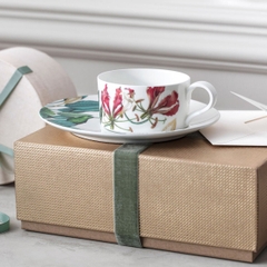 VB Avarua Tách Chén trà Teacup 1046551270