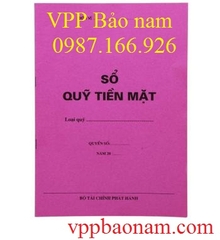 Sổ quỹ tiền mặt