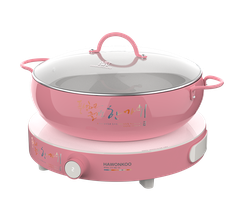Bếp điện từ đơn Hawonkoo CEH-101-I-PK