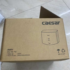 Máy sấy tay tự động Caesar A801