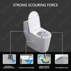 Bồn cầu liền khối safevn:SF 8801